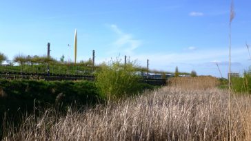 Jardins Jean-Marie Pelt