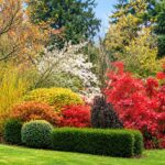 jardins