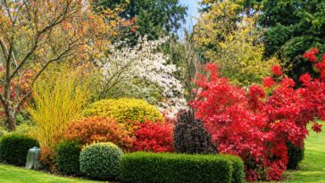 jardins