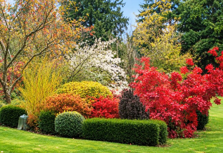 jardins