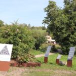 Musée naturel Jean-Marie Pelt