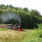 Le petit train forestier d'Abreschviller