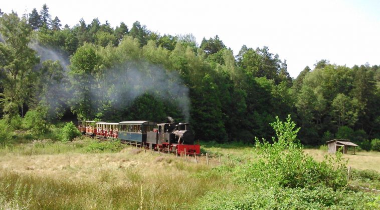 Le petit train forestier d'Abreschviller