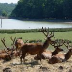 Parc Sainte Croix Rhodes