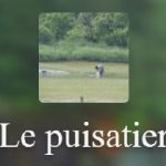 puisatier