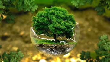 environnement