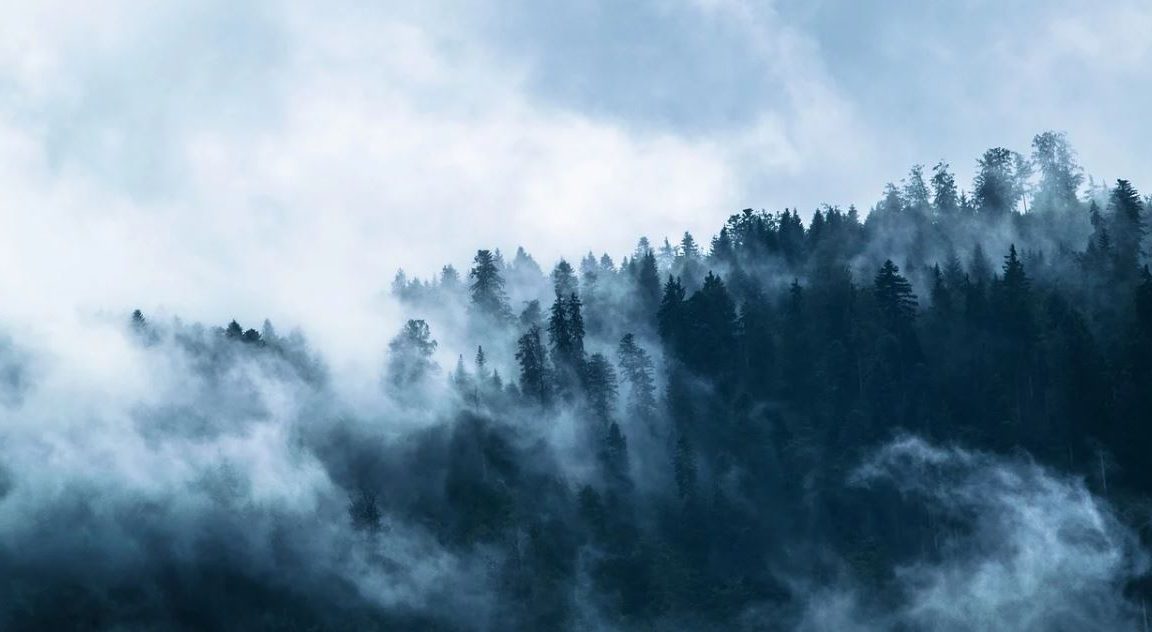 Vosges
