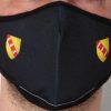 masque lorraine image