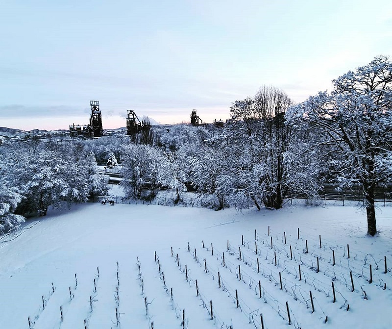 vignes Hayange