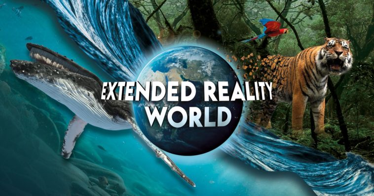 Extended Reality World