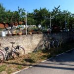 Dommartin-la-Chaussée