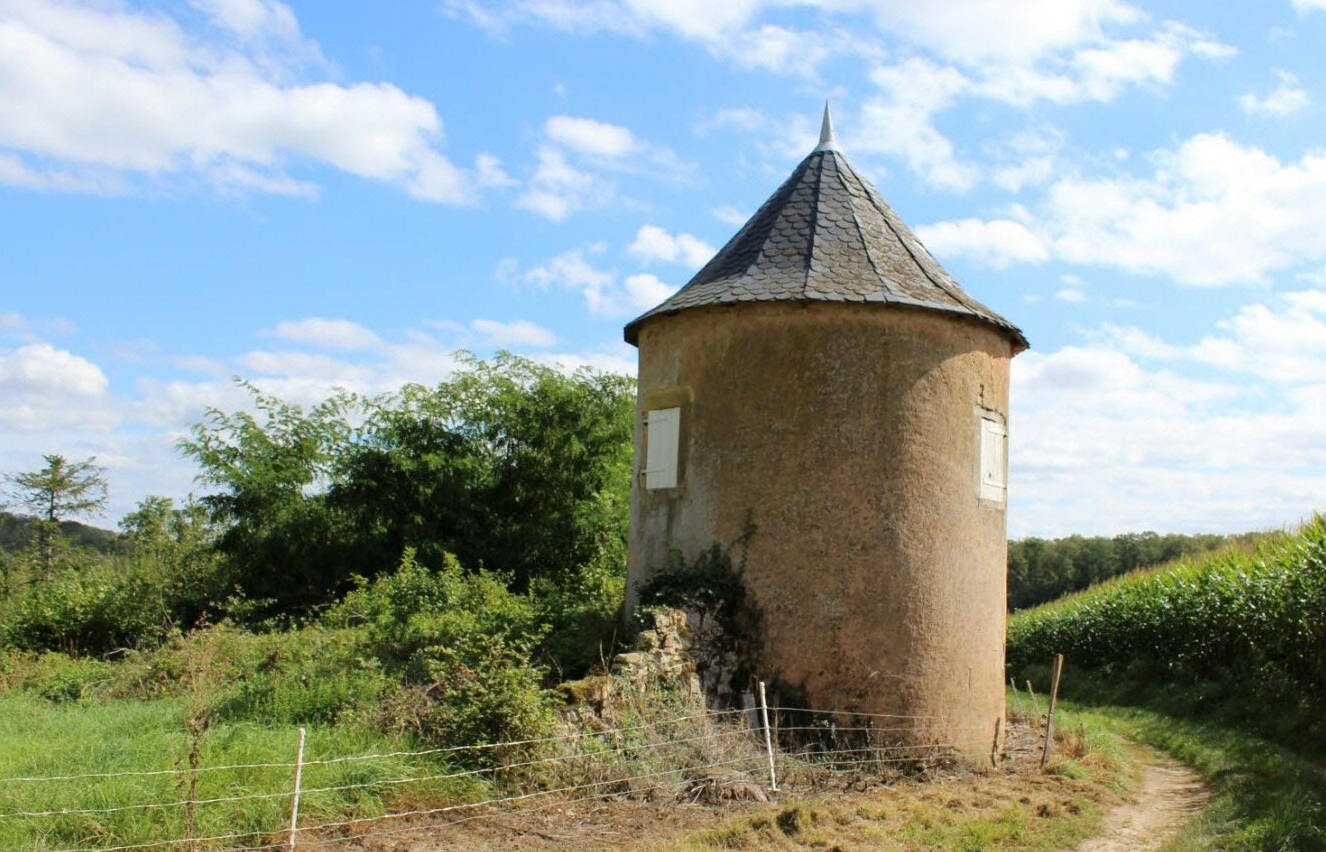 Restauration de la Tour de la Louvière à Hayes BLE Lorraine