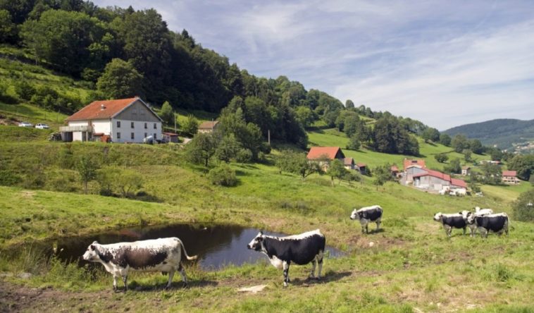 ferme marcaire