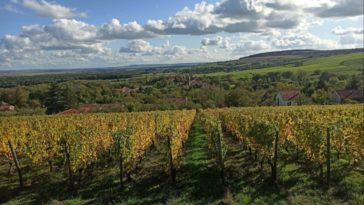 GFV Les Vignobles Mosellans