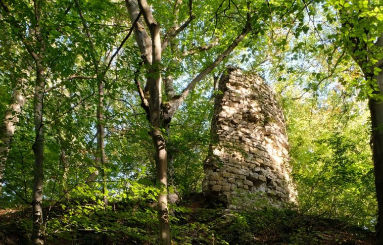 Château des Rays