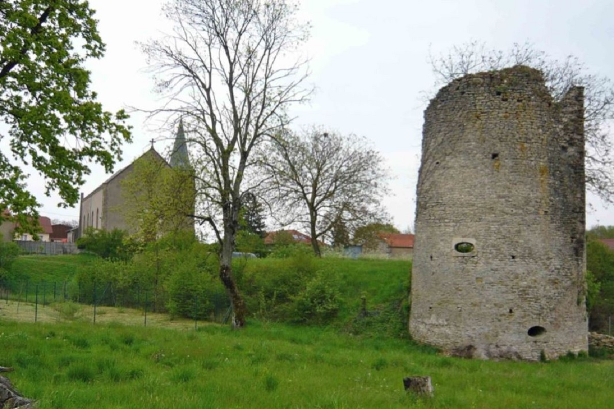 Arbre généalogique et blasons de la famille de Créhange - BLE Lorraine