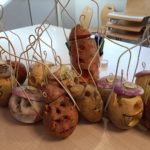 nuit des betteraves grimaçantes