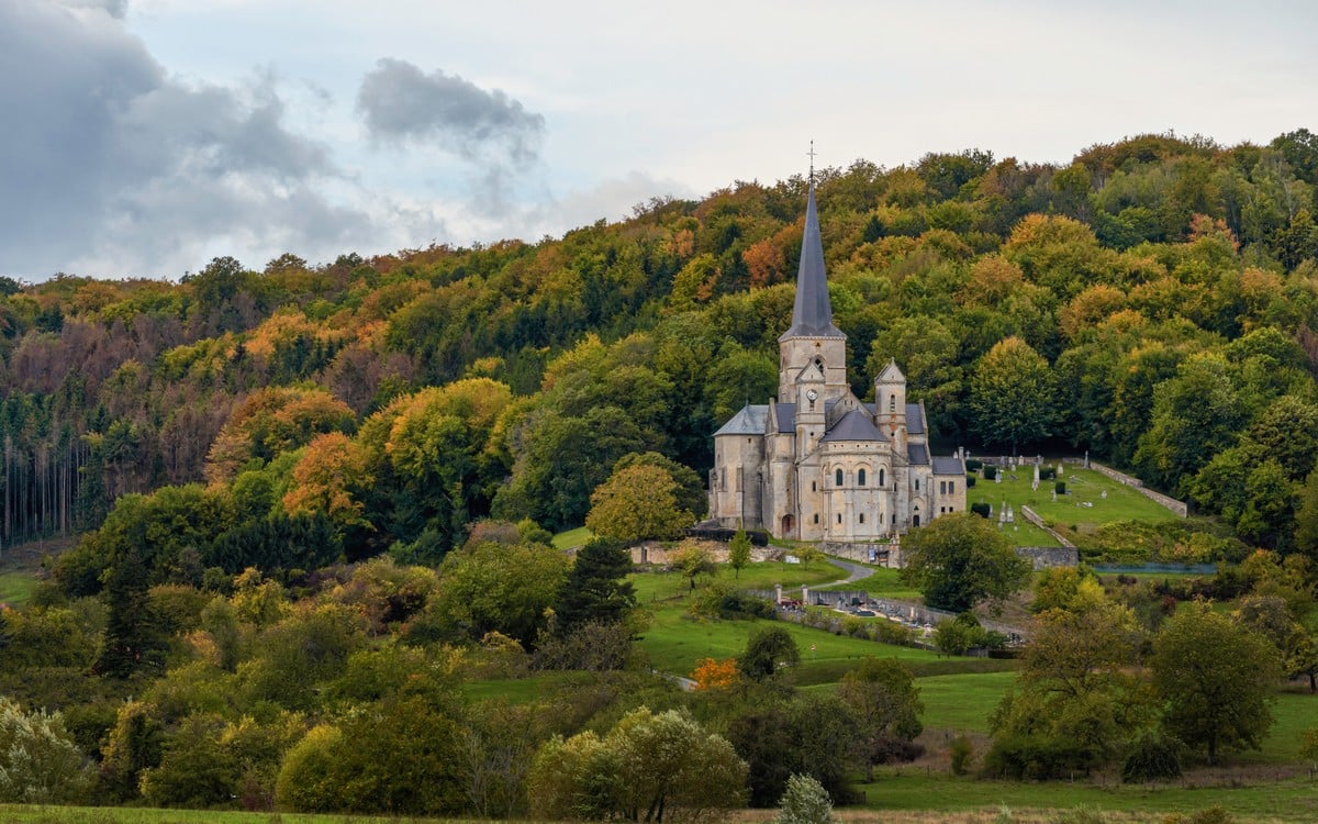 Une chouette à l’église de Mont-devant-Sassey - BLE Lorraine