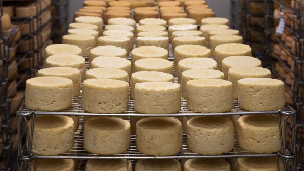 fromagerie de la Meix Biogam