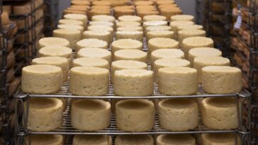 fromagerie de la Meix Biogam