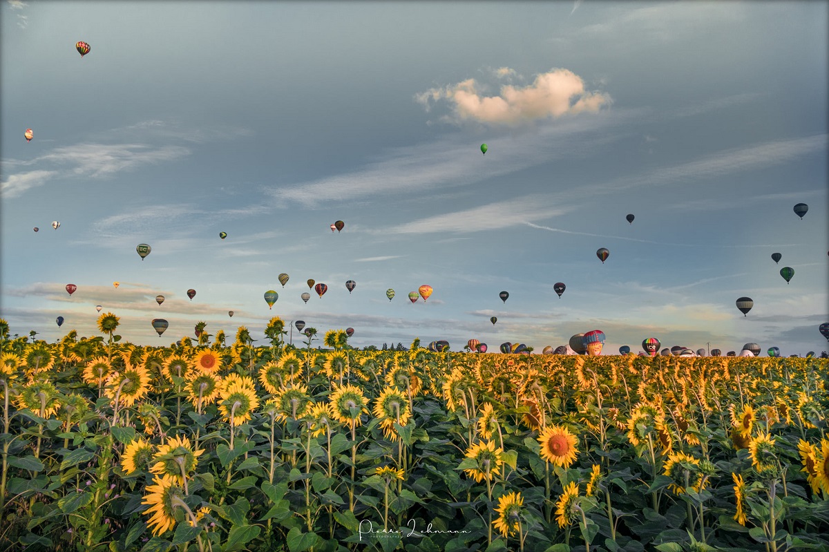 montgolfières