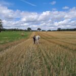 Domaine équestres des Bachats