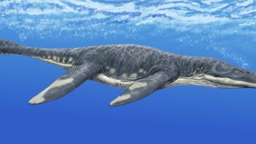 Lorrainosaure