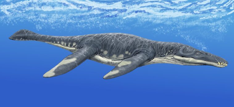 Lorrainosaure