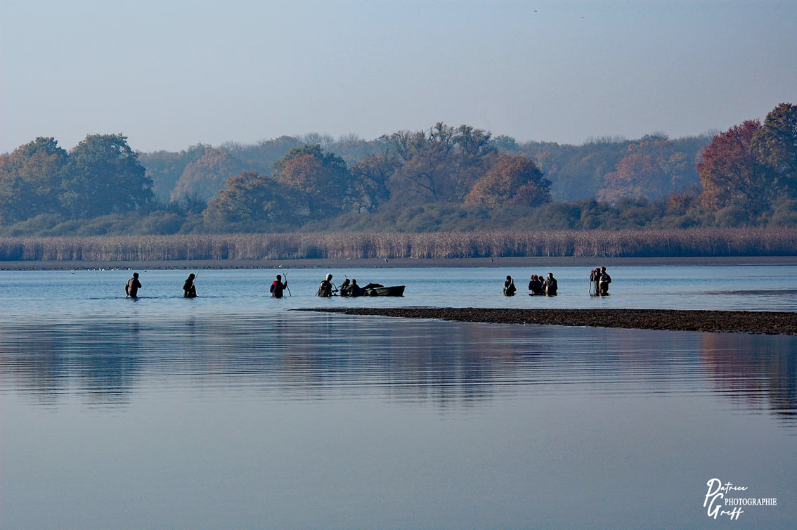 Etang de Lachaussée