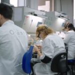 Orest Saint-Dié-des-Vosges