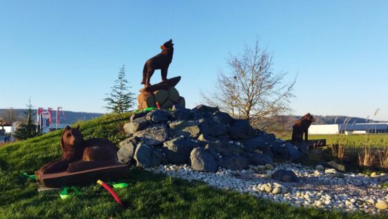 Loups Châtenois Vosges