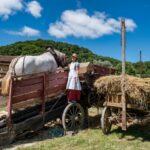 savoir-faire monde rural
