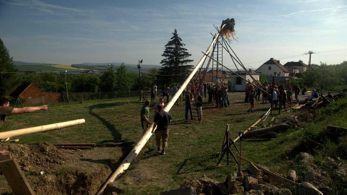 Arbre de Mai