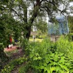 jardin peintre Nicole Gauthier