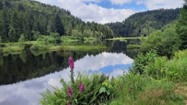 Lac de Lispach