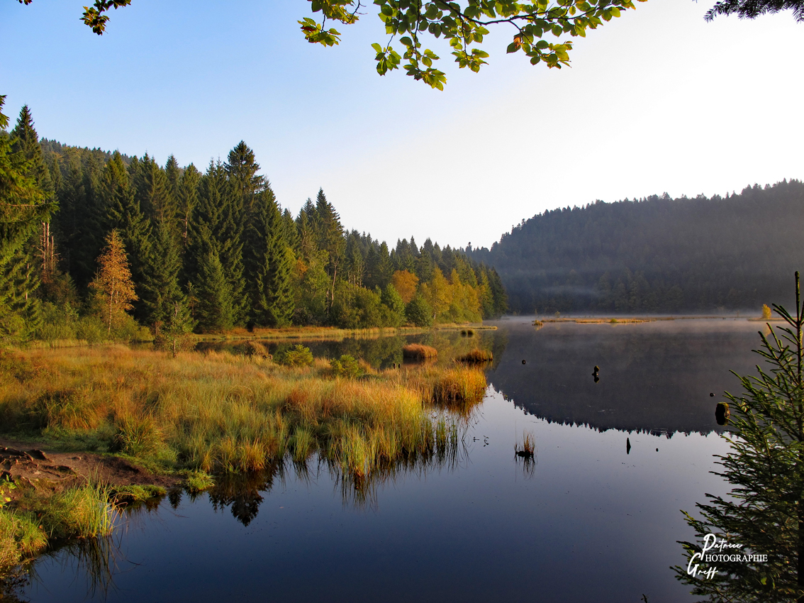 Tourbi re Du Lac De Lispach Dans Les Vosges BLE Lorraine Tourbi re Du Lac De Lispach Dans Les Vosges BLE Lorraine
