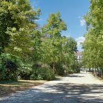 Parc de la Pépinière