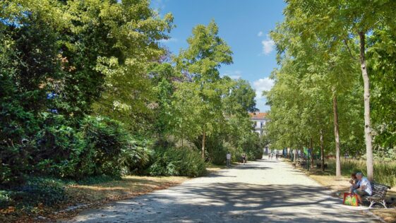 Parc de la Pépinière
