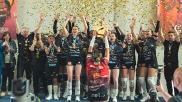 Saint-Dié Volley Ball