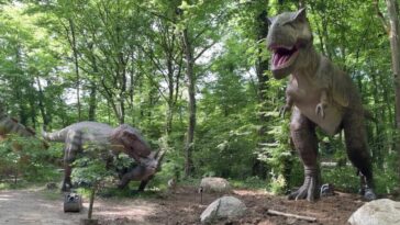 dinosaures Amnéville