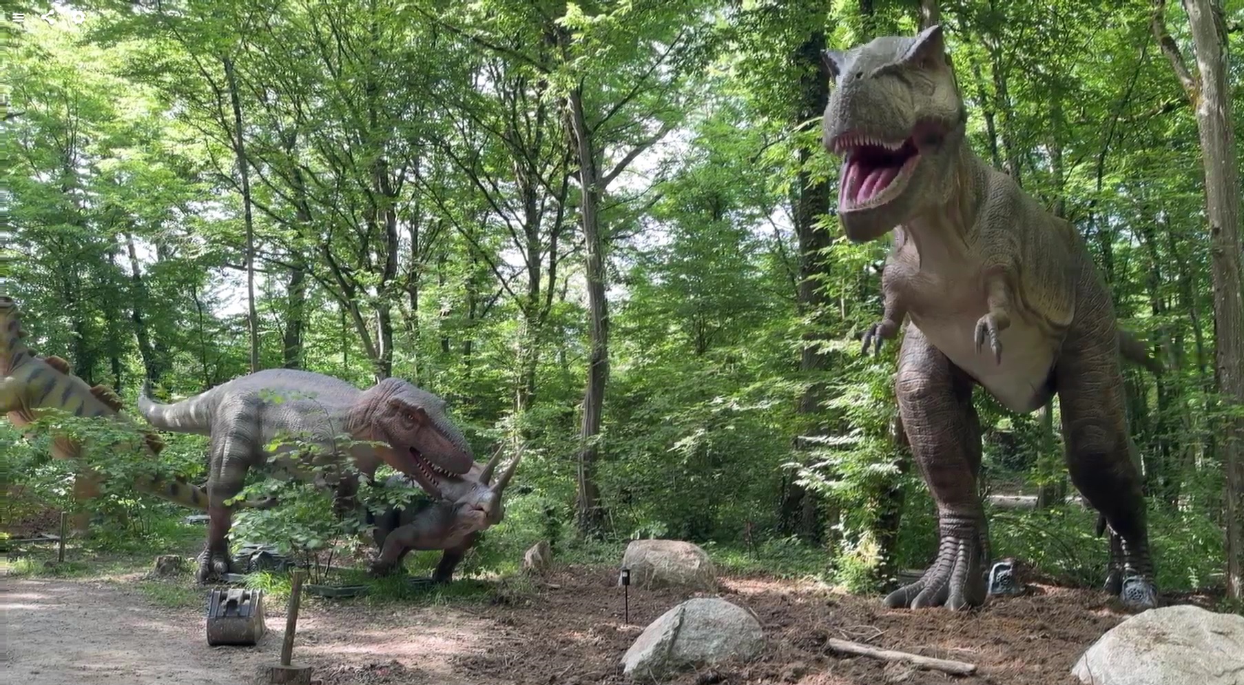 dinosaures Amnéville
