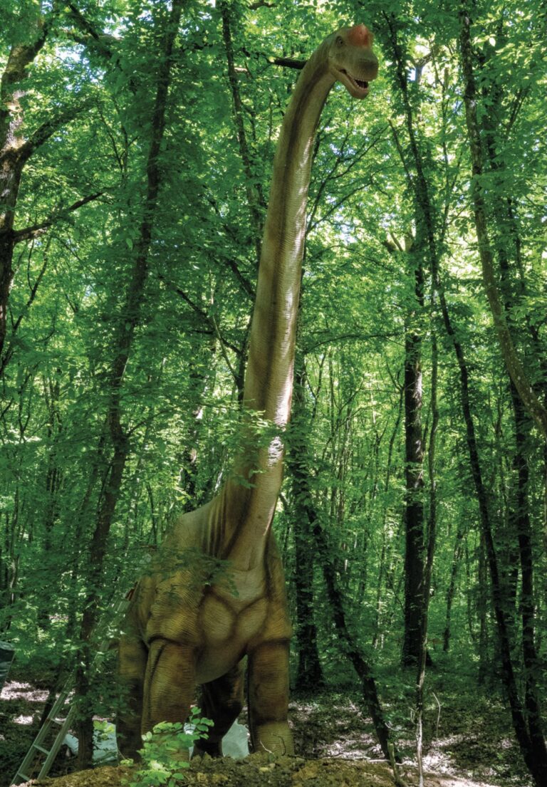 brachiosaure zoo Amnéville