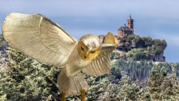 chouette d'or
