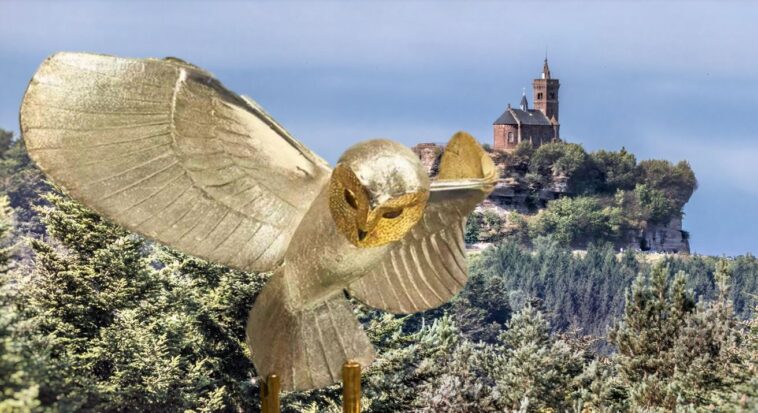 chouette d'or