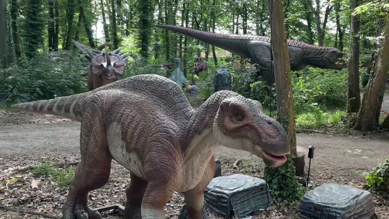 Jurassic Expedition