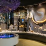 Pavillon biodiversité Metz