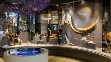 Pavillon biodiversité Metz