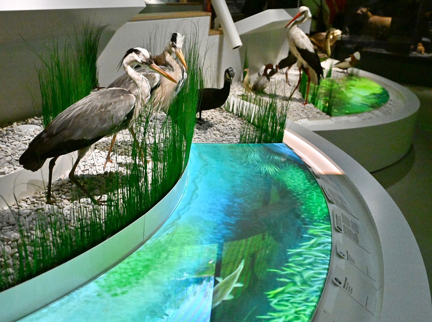 milieux aquatiques Lorraine