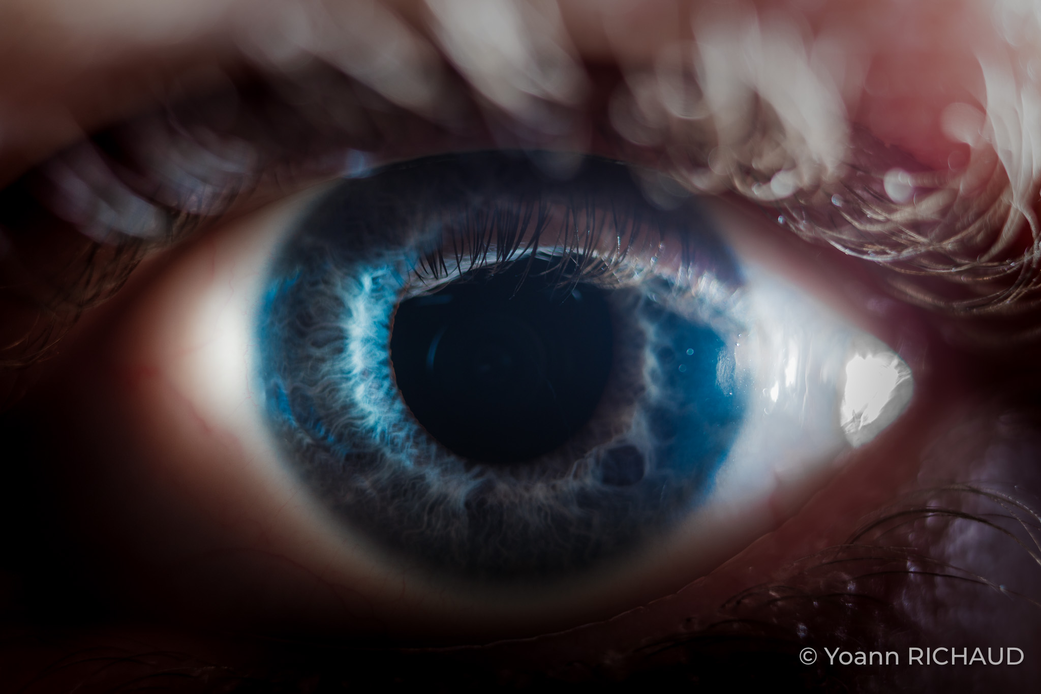 œil Yoann Richaud
