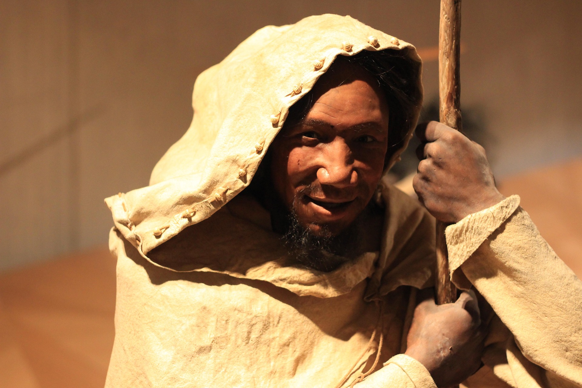 Découverte d’un atelier de taille de l’Homme de Néandertal dans les Vosges
